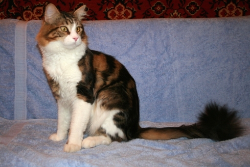 Jeters Baxter